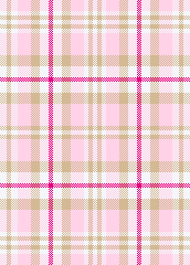Pink Camel Kay