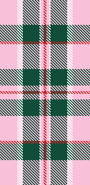 Holiday '24 winner