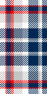 red grey white navy plaid