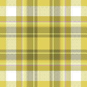 Detective's Pattern 3