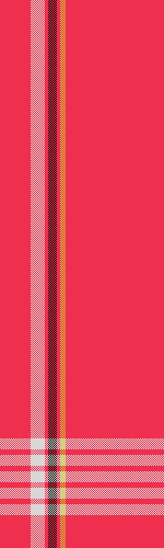 Robyn's red scarf