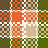 Ladies Picture Scarf 4