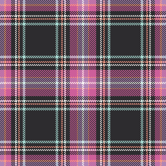 W25-Party Time PINK PLAID