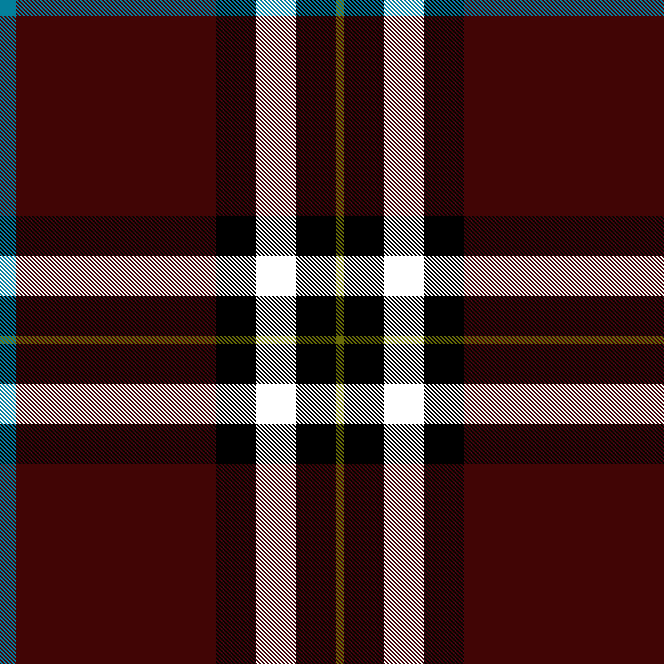 Purberry Marron 45