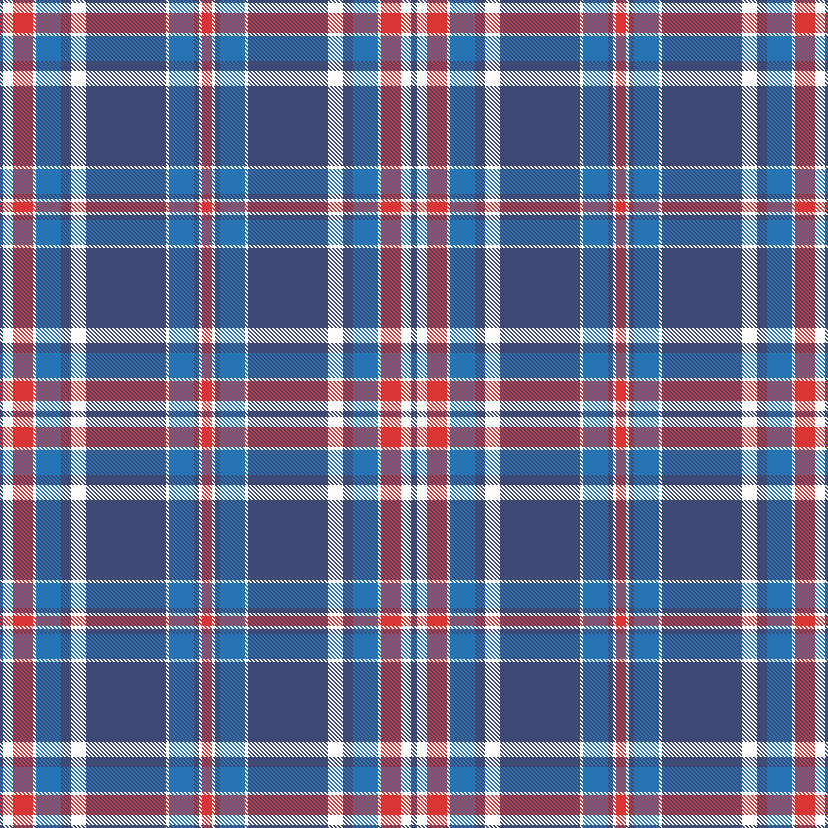AMERICANA PLAID 3