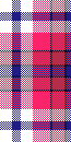 Carol 4 Plaid