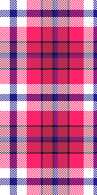 Perfect Plaid