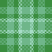 Green scarf 2