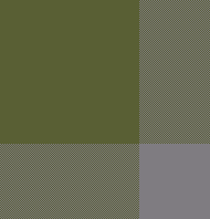 MOSS GREEN GREY