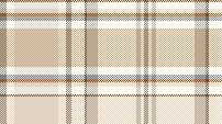 warm plaid 2