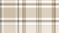 warm plaid 3