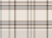 INVERTED PLAID 4