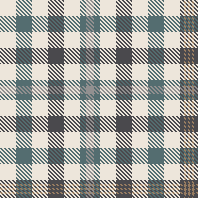 Shepherds Plaid Charcoal