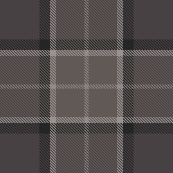 this is a palid