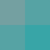 Aquamarine Teal Buffalo Check