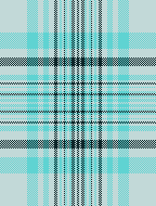 Aquamarine Teal Gucci