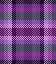 Aubergine Purple Crazy