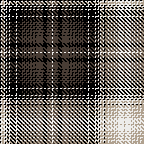 studancanyonplaid