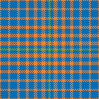 ẞummer Tweed Picnic Blanket
