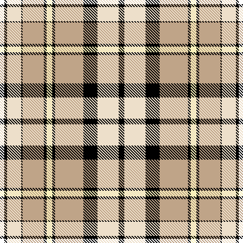 Ek aur plaid