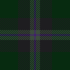 school skirt dark green