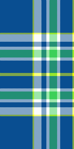 POPLIN BLUE GREEN YELLOW