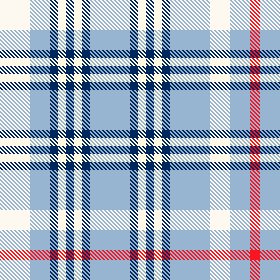 Tea Towel - Blue Plaid