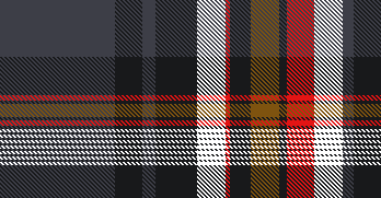 Multi Plaid 2