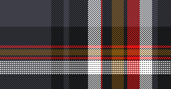 Multi Plaid 4
