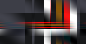 Multi Plaid 10