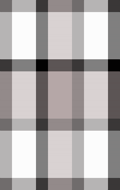 Plaidd 16