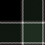 Plaid Shirt Check