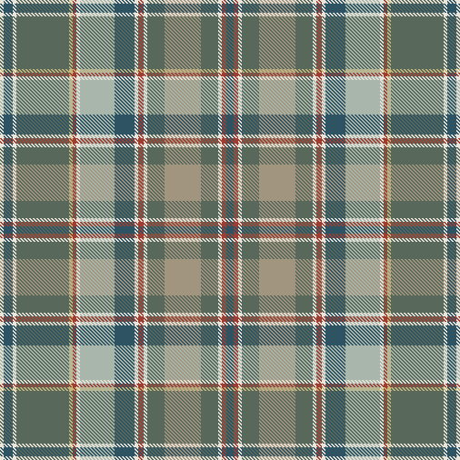 BJENKINS Tartan