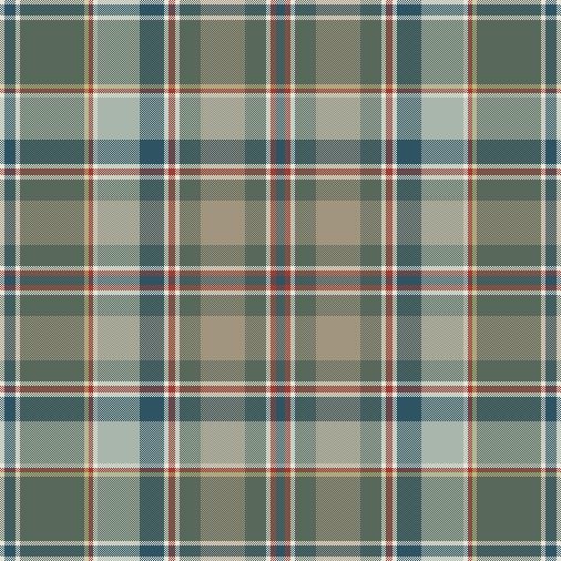 bjenkins tartann small