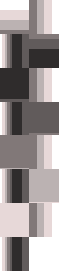 Whitebirch grey scale off centre Mike