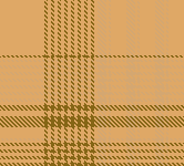 2/2 Twill (Ayesha Ehsan)
