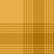 2/2 Twill (Ayesha Ehsan)