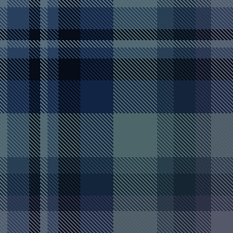 Blackberries Blue Madras