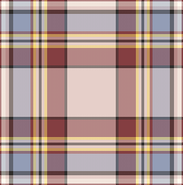 VW plaid