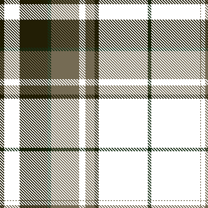 tartan check01