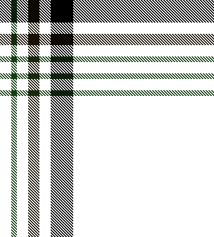tartan check05