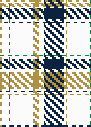 fighting irish