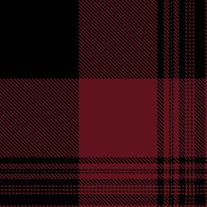 2 CLR BOLD 8