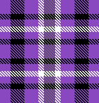 Purple 2