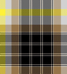 yelo