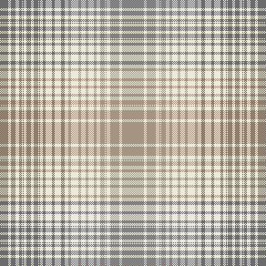 RVI PLAID TRYUING TO MAKE BIGGER