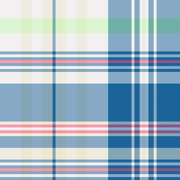 RL Indian Madras 3
