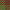 green brown