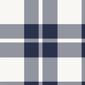 Blue stripped plaid