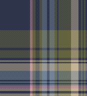 plaid 5